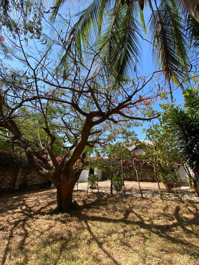 Silver Rock Hotel Malindi Exterior photo